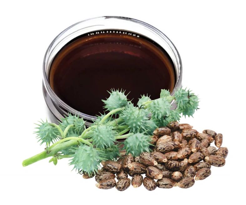 Haitian Castor Oil (Lwil Maskriti)