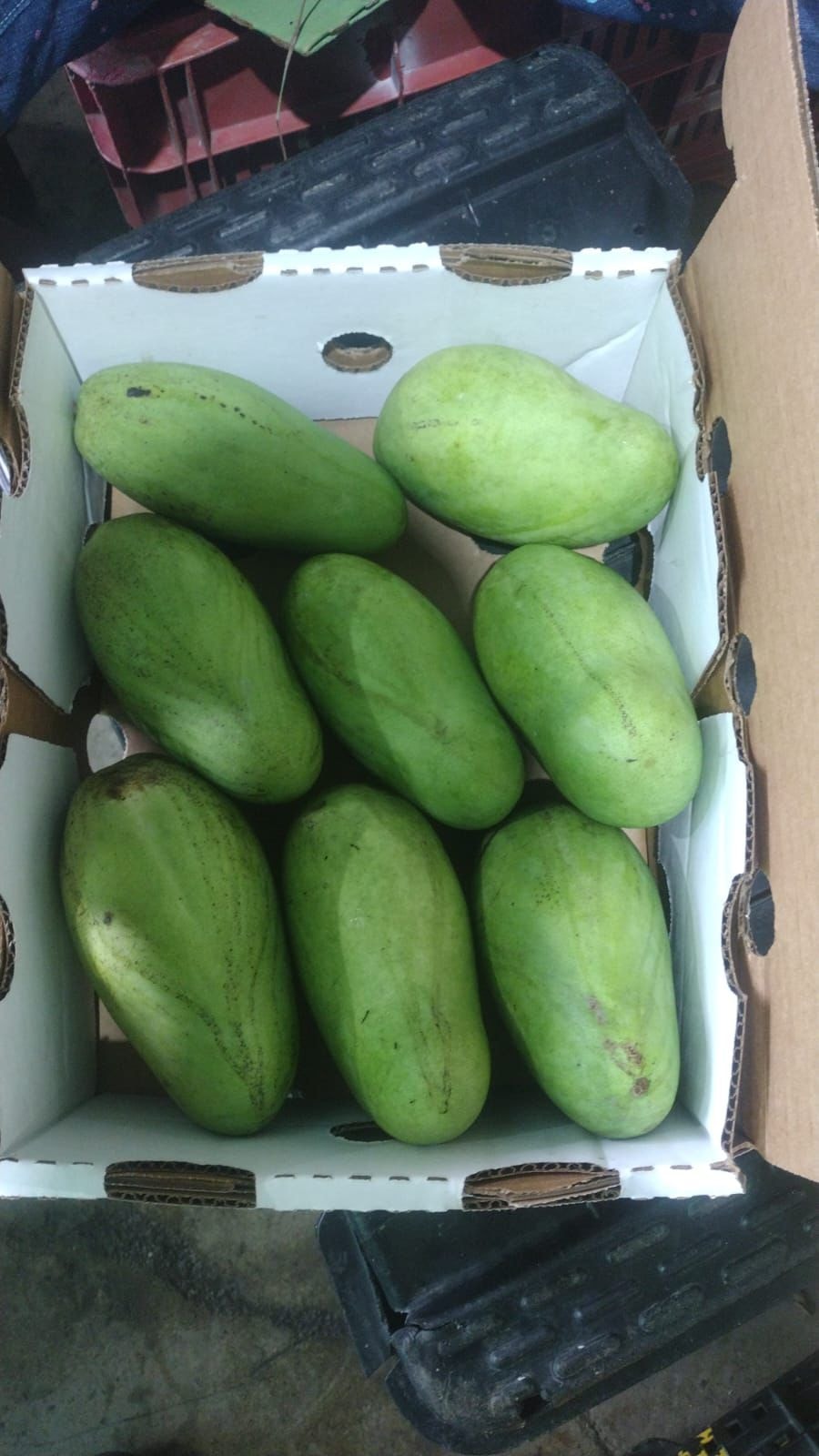 Mango Francisque (Mango Fransisk)
